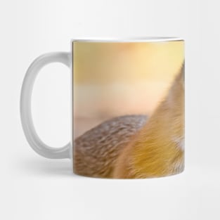 Red Fox Mug